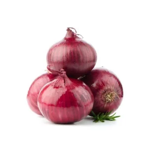 L’oignon rouge